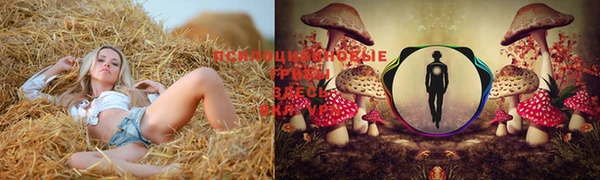 спиды Абдулино