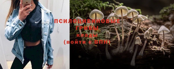 хмурый Абинск
