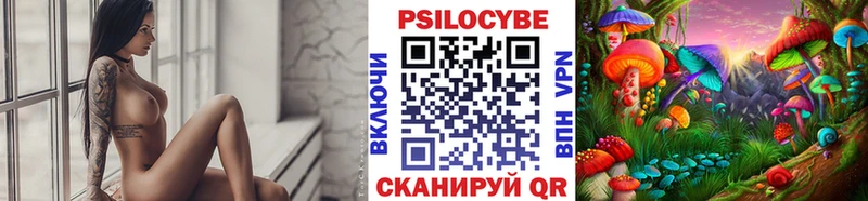 Псилоцибиновые грибы Cubensis площадка наркотические препараты Краснозаводск